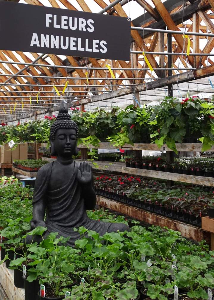 Horticulteurs à Jonquière